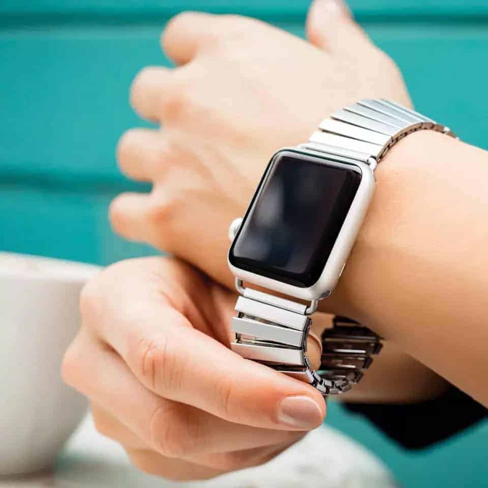 Elastic Classy Stainless Steel Apple Watch Loop (42-44MM)