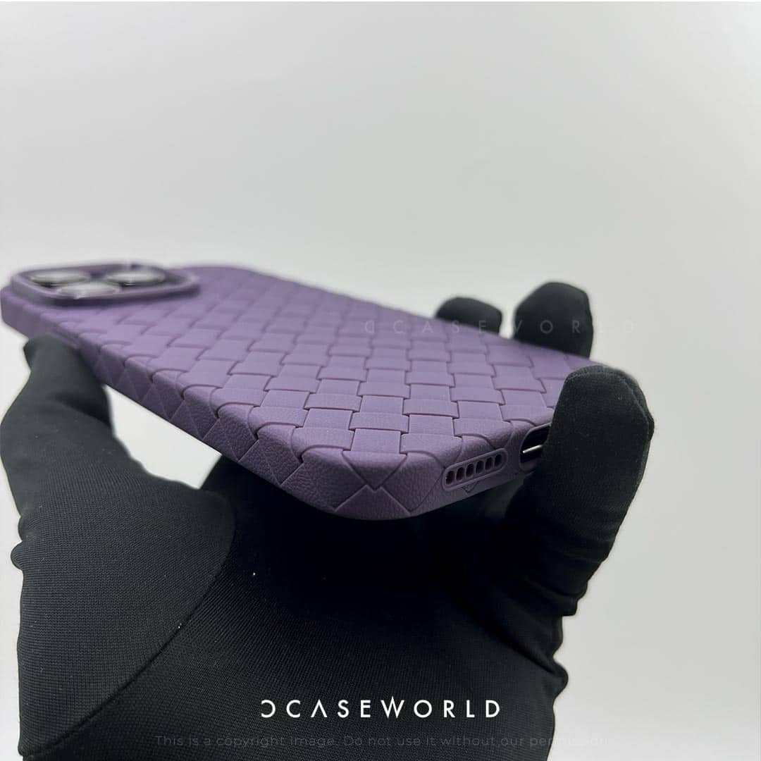 Bottega Veneta Weaving Style Case