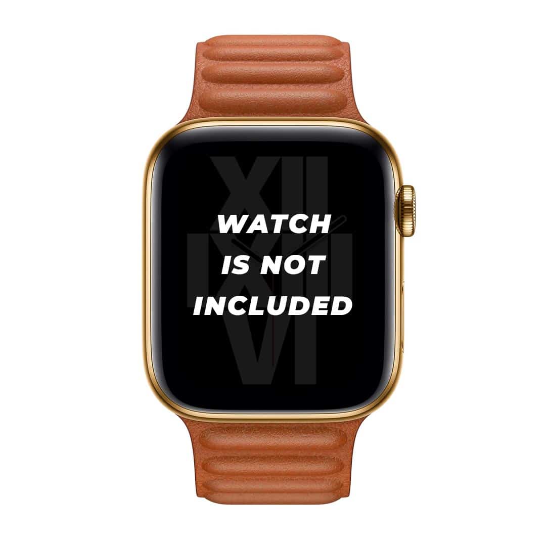 Leather Link Magnetic band 42-44 MM